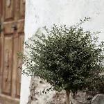 Buxgarten Διαμέρισμα Oetz
